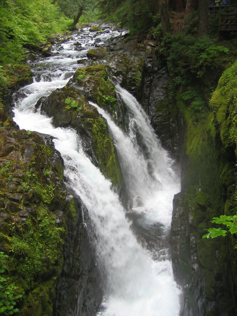 Olympic National Park by SteveTesta