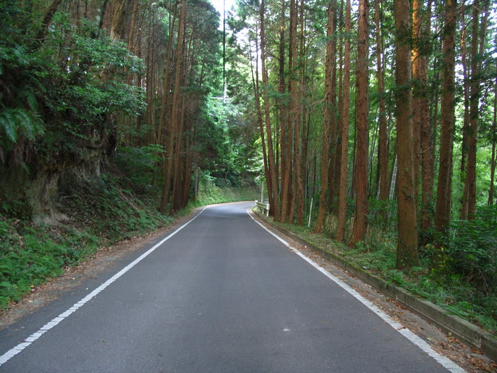 大口高校の裏の道路 by ywamkago