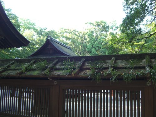 Kawai Shrine by sonotune