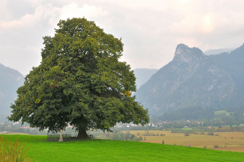 Oberammergau, Linde und Kofel by Klaus Rommel