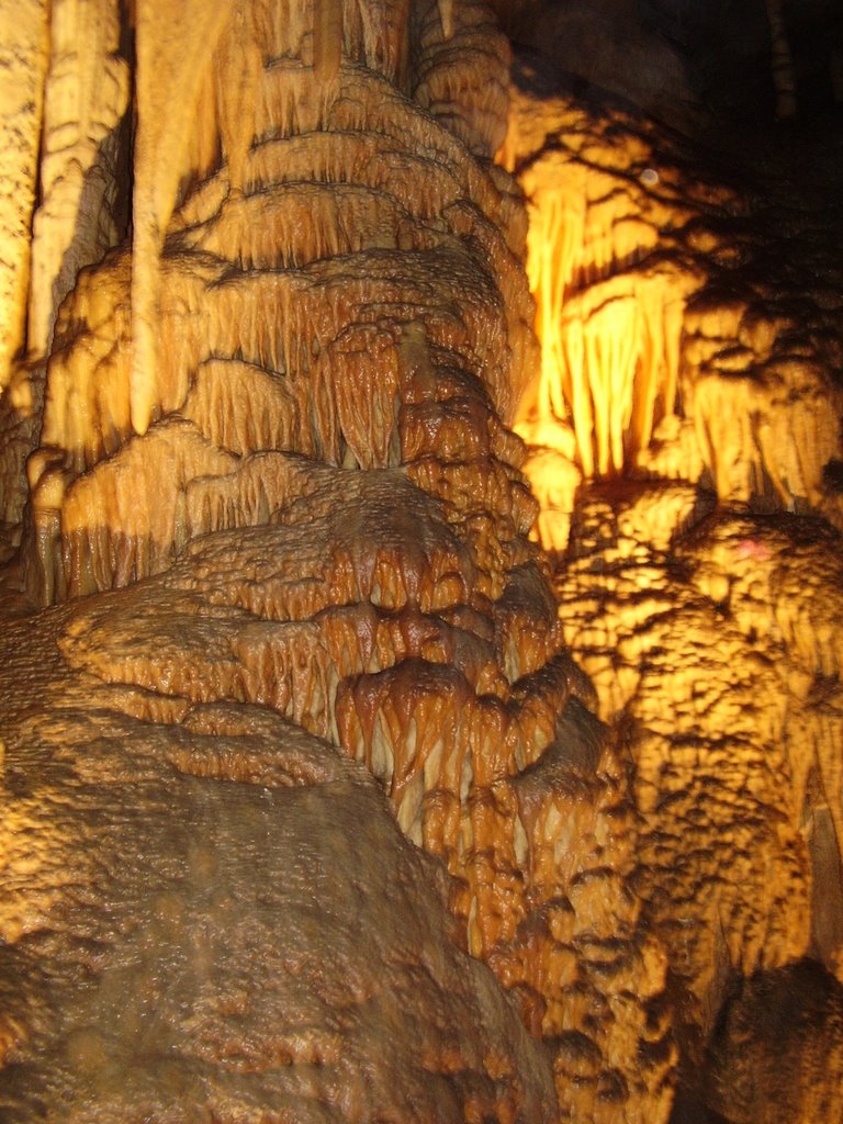 Hastings Caves, Tasmania by Peter Ermel