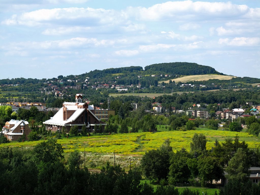 The view from the tower from castle in Będzin by finek