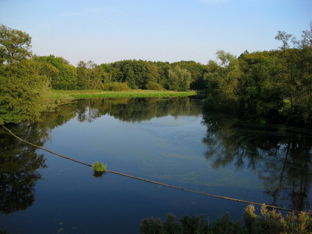 Der Mühlenteich in Wohldorf. by Hans Wolters