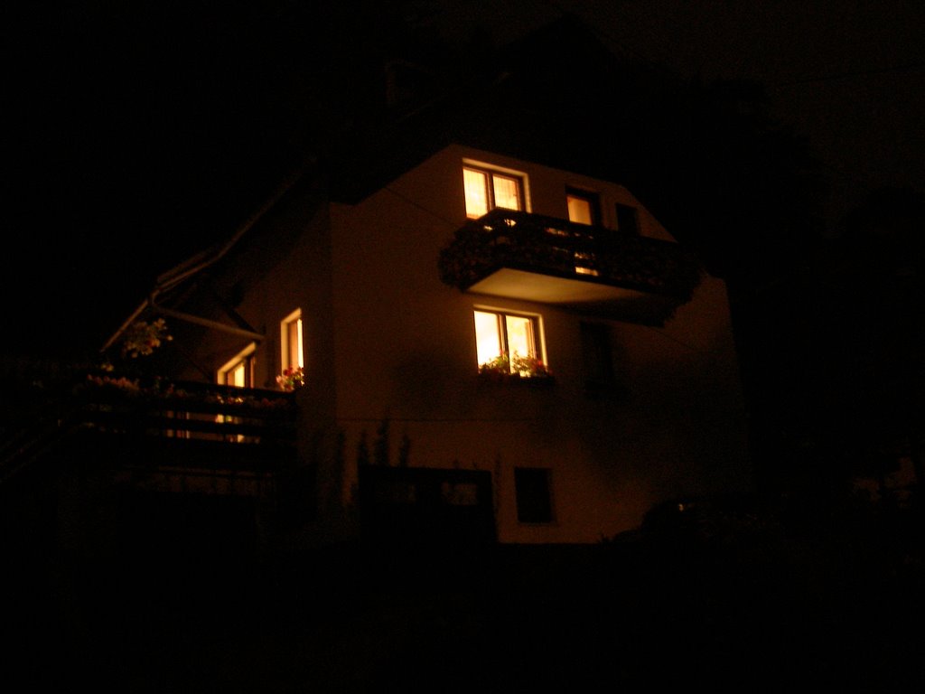 My house at night by pogl