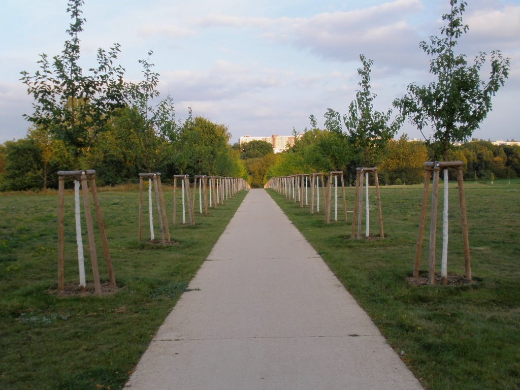 Betonweg im Landschaftspark - eigentlich eine Sünde by Odor