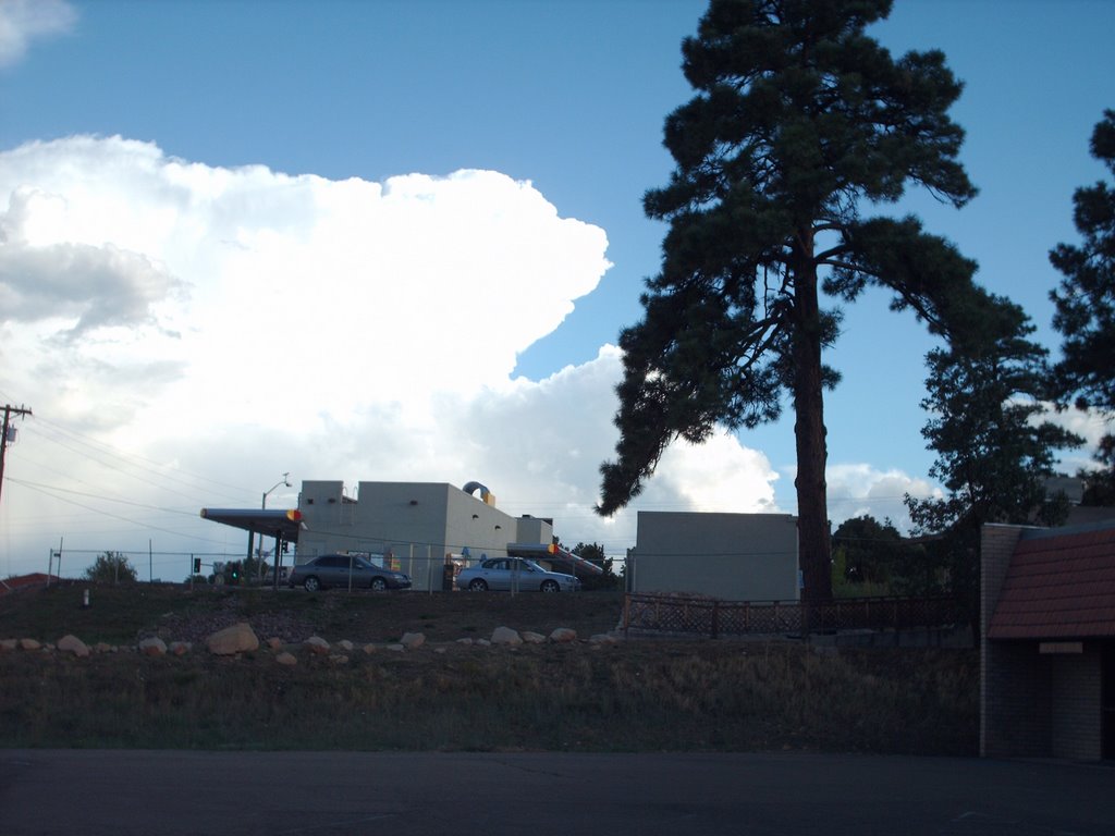 Show Low, Arizona Summer Thunderstorm by gidavidson