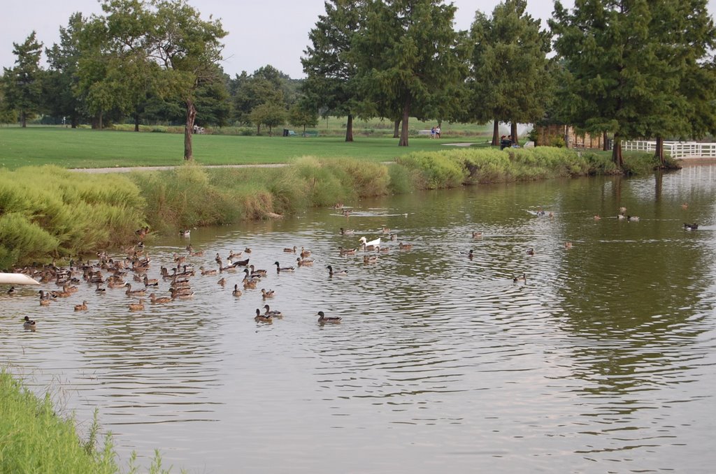 Bob Woodruff park, Plano, TX by Salatico