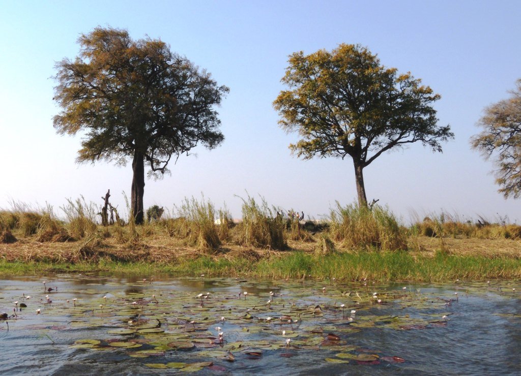 Parco Chobe by maremagna