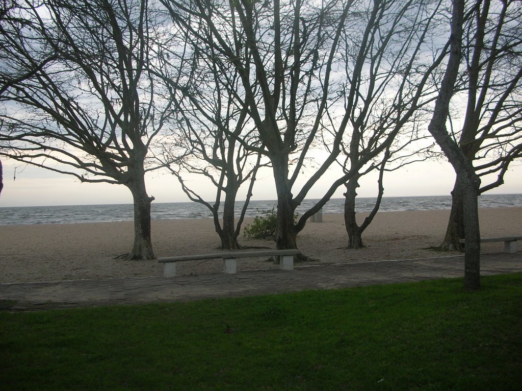 Praia do Laranjal by Adail Pedroso Rosa