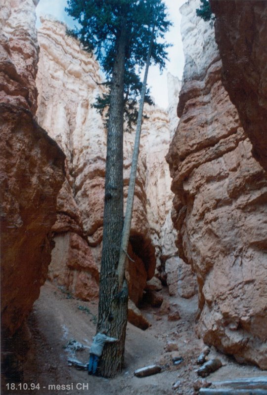 (messi94) Bryce Canyon – "Wall Street" by ©polytropos