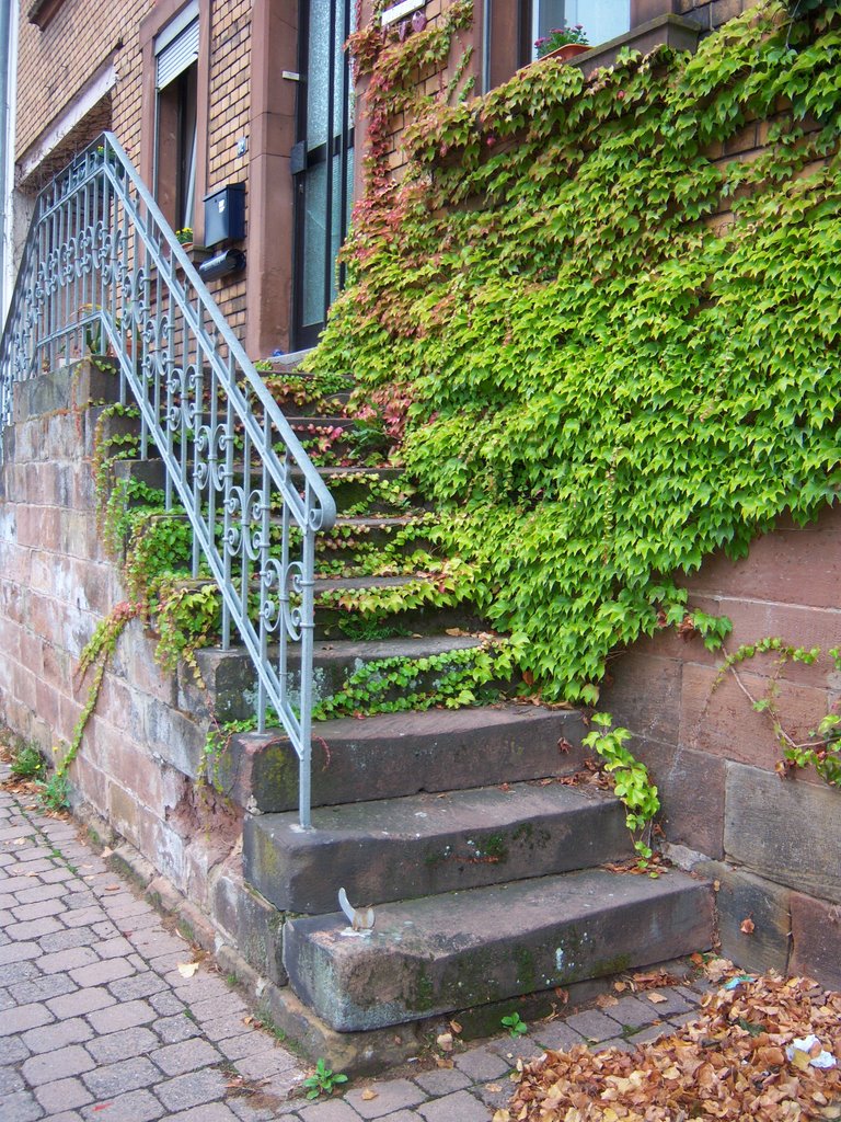 Schöne Treppe in Kirkel-Limbach by Katweasle