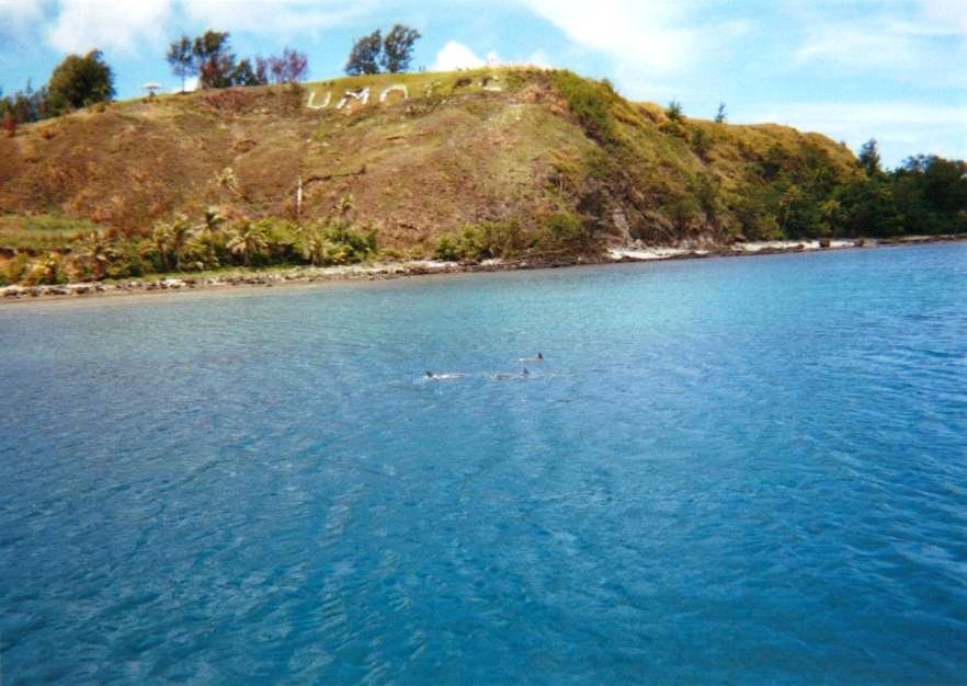 6/25/2003 Dolphin watching in Guam by 希代