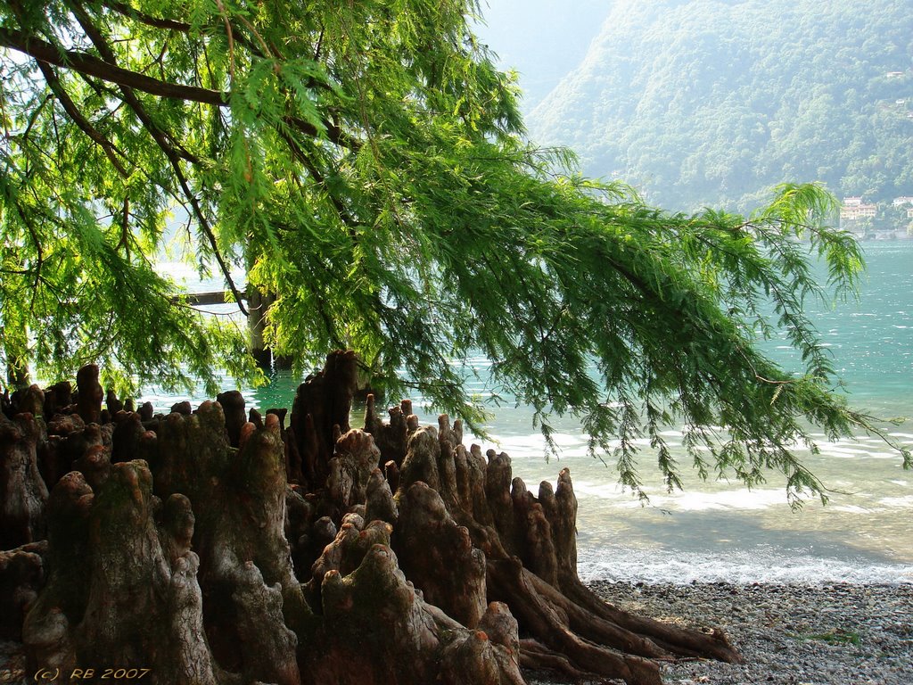 Stalagmiten am Lago Maggiore by digipic | Long live Panoramio!