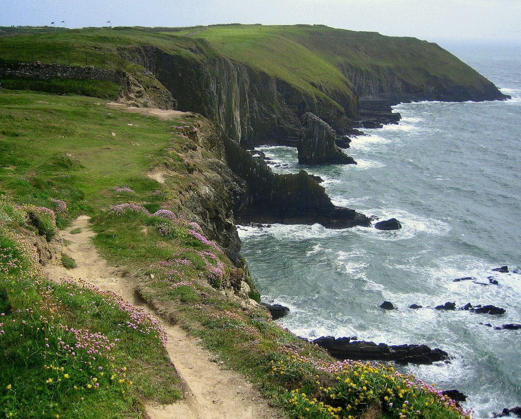 A view from Old Head by Istvan Dobos