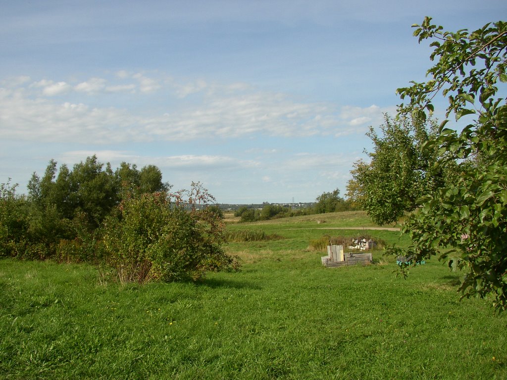 Apple Orchard by Lucybear