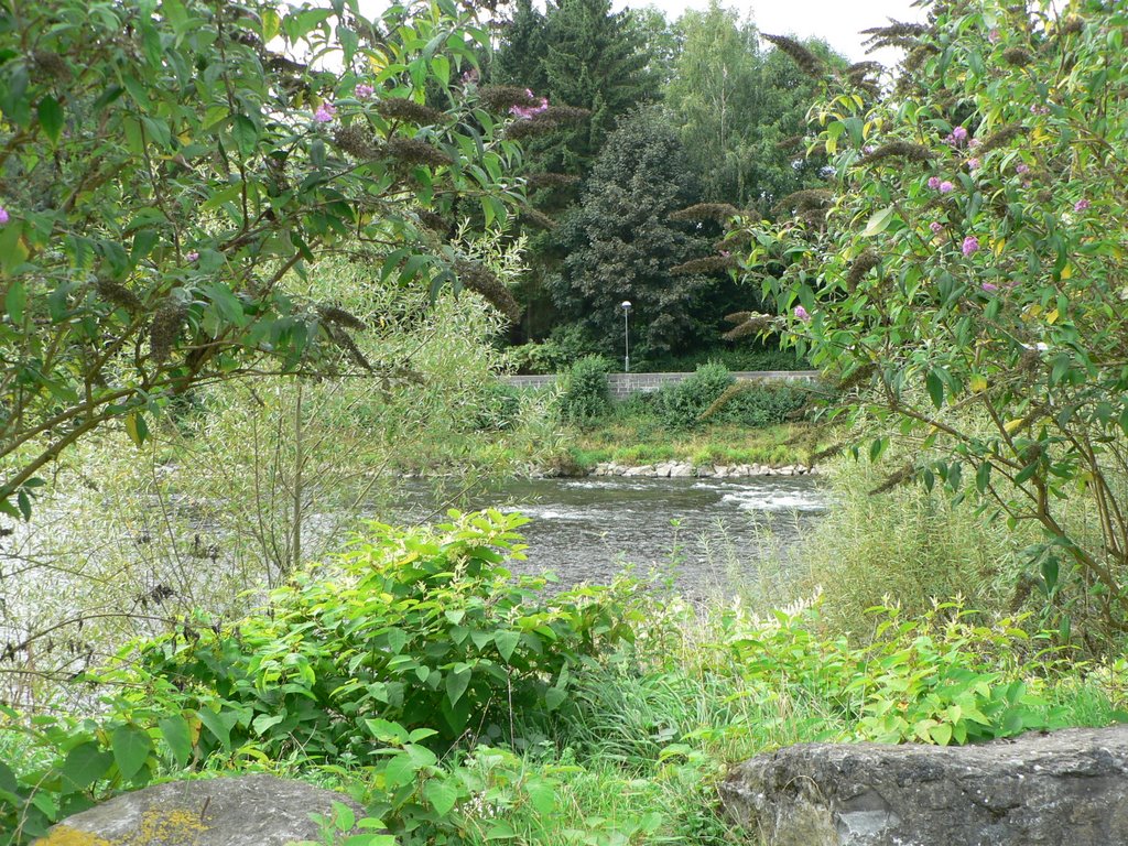 Plongée sur l'Ourthe by DELANTE Henri