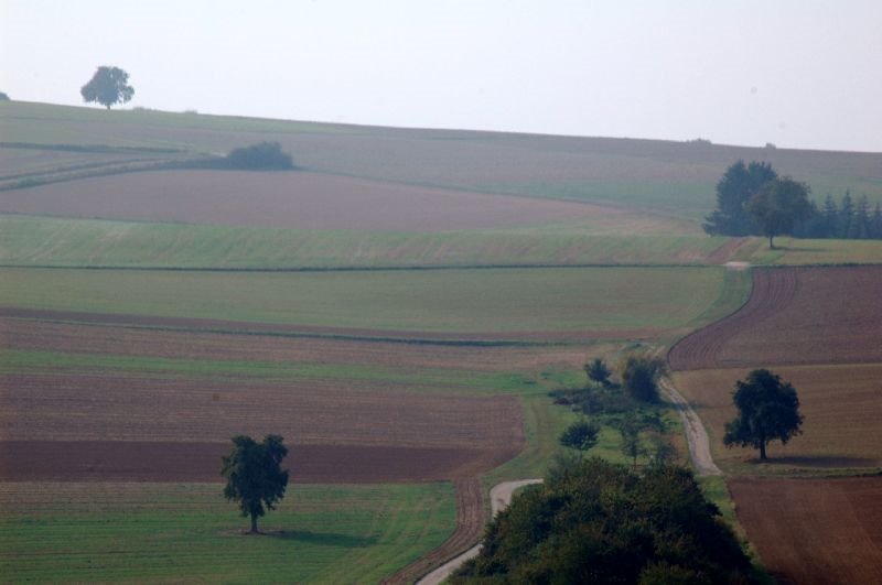 Blick vom Bergfried by 14MAN02