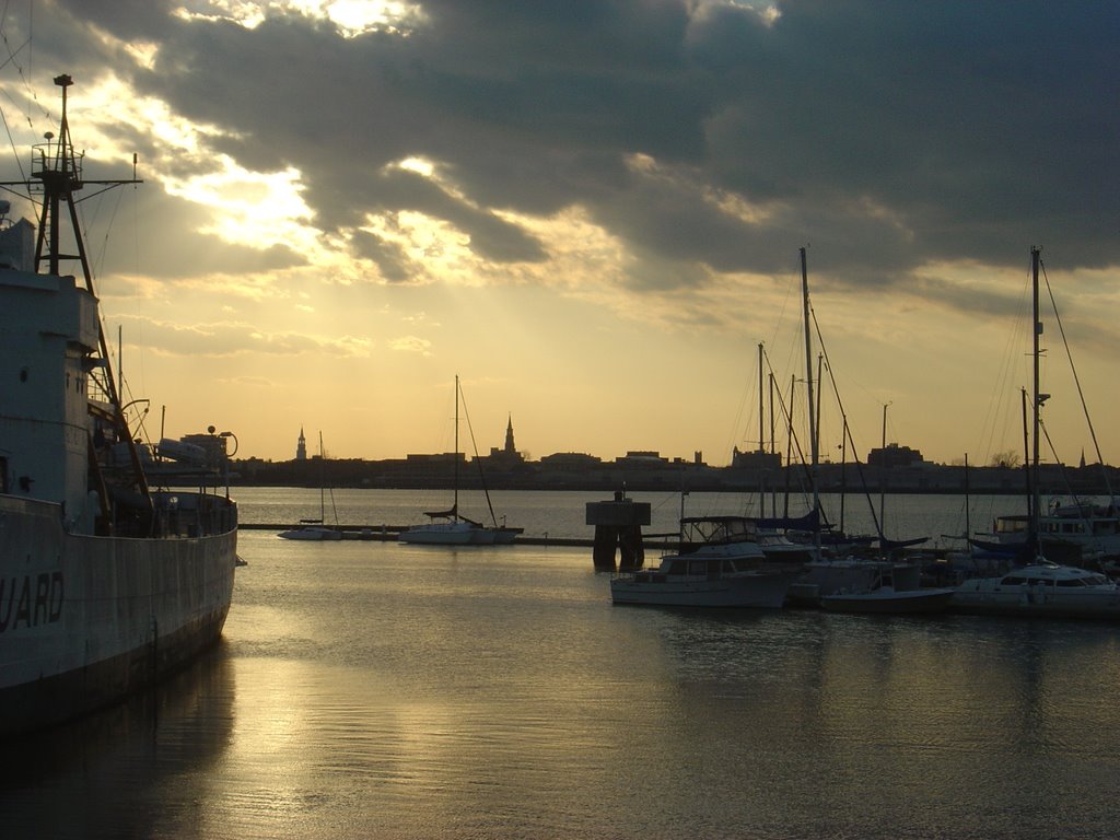 View of Charleston by Carey Jones