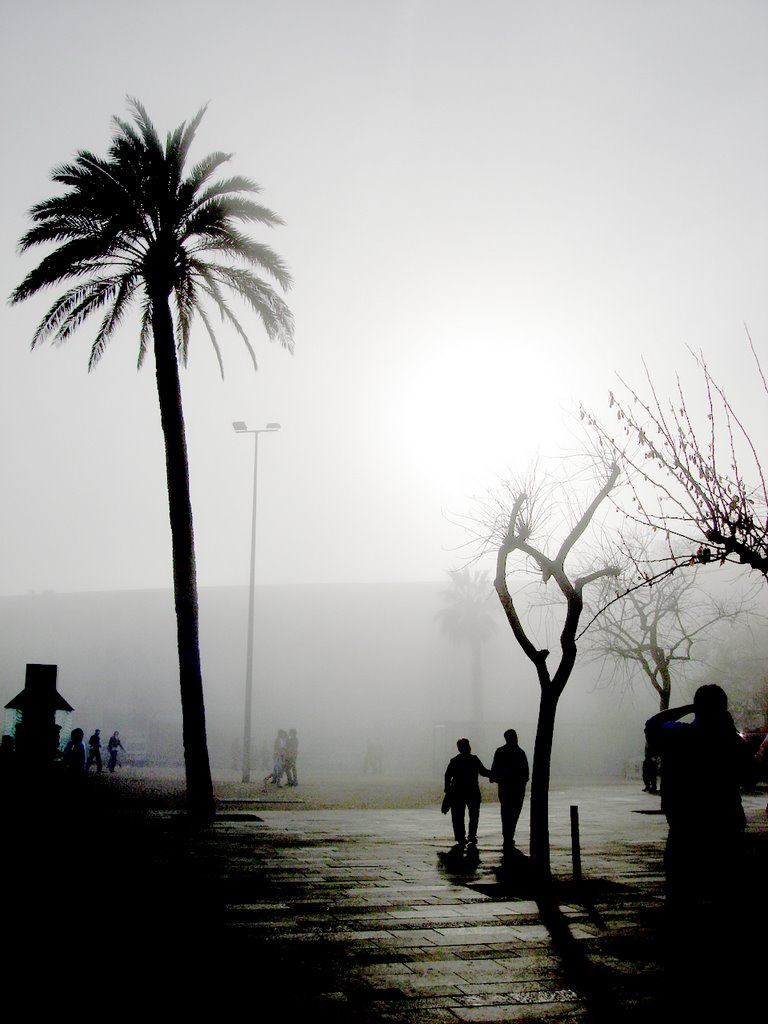 Platja de la barceloneta by gerardgou