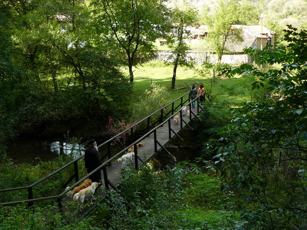 Мостът за манастира над р. Нишава Bridge to the monastery over Nishava river by zorrotto