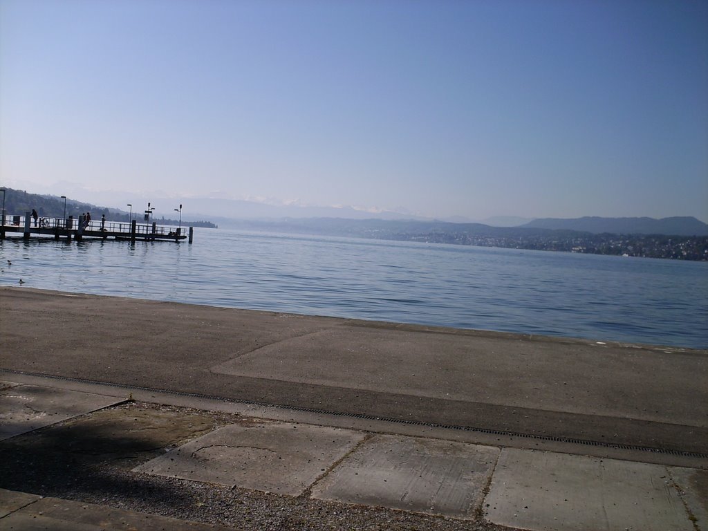 Am Zürichsee (Zürichhorn) by hpv