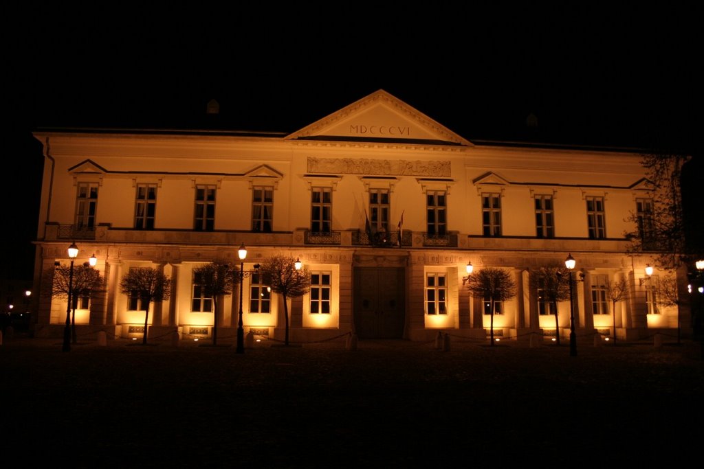 Sándor Palace at night by MBagyinszky