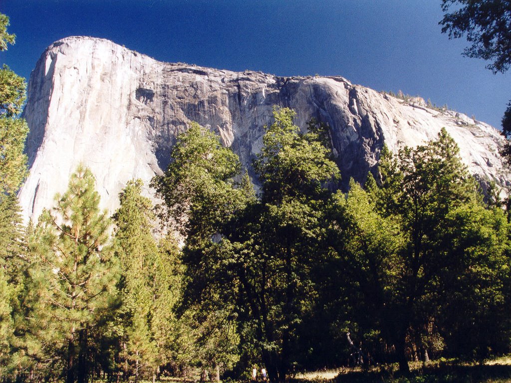 El Capitan in Yosemite National Park by David & Lynda Weir