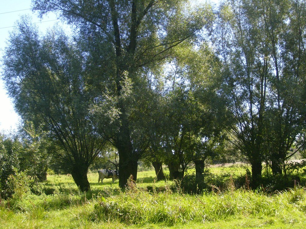 Obszar Chronionego Krajobrazu „Dolina Ciemięgi” by arcani