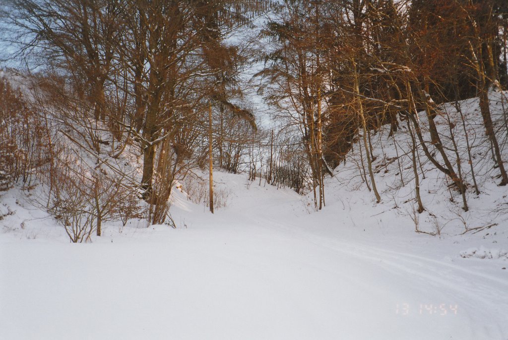 Winterlandschaft bei Oberreichenbach by Blausteiner