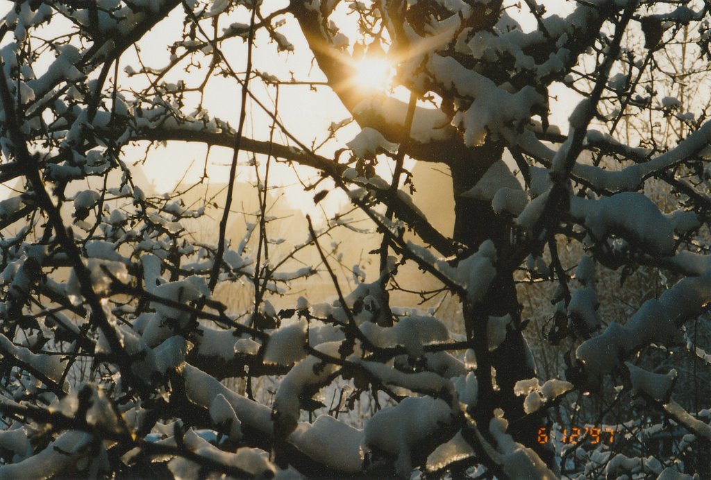 Winter in Oberreichenbach by Blausteiner