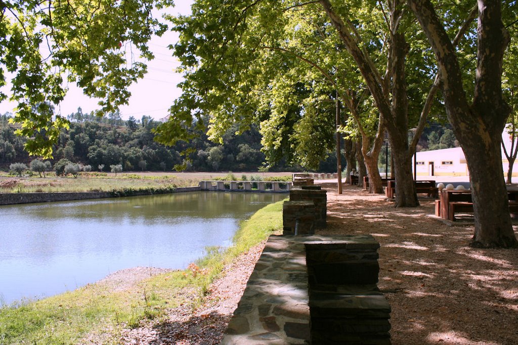 Ribeira da Sertã by placosta