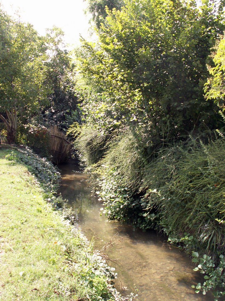 La pêche réservée aux enfants by gepeto