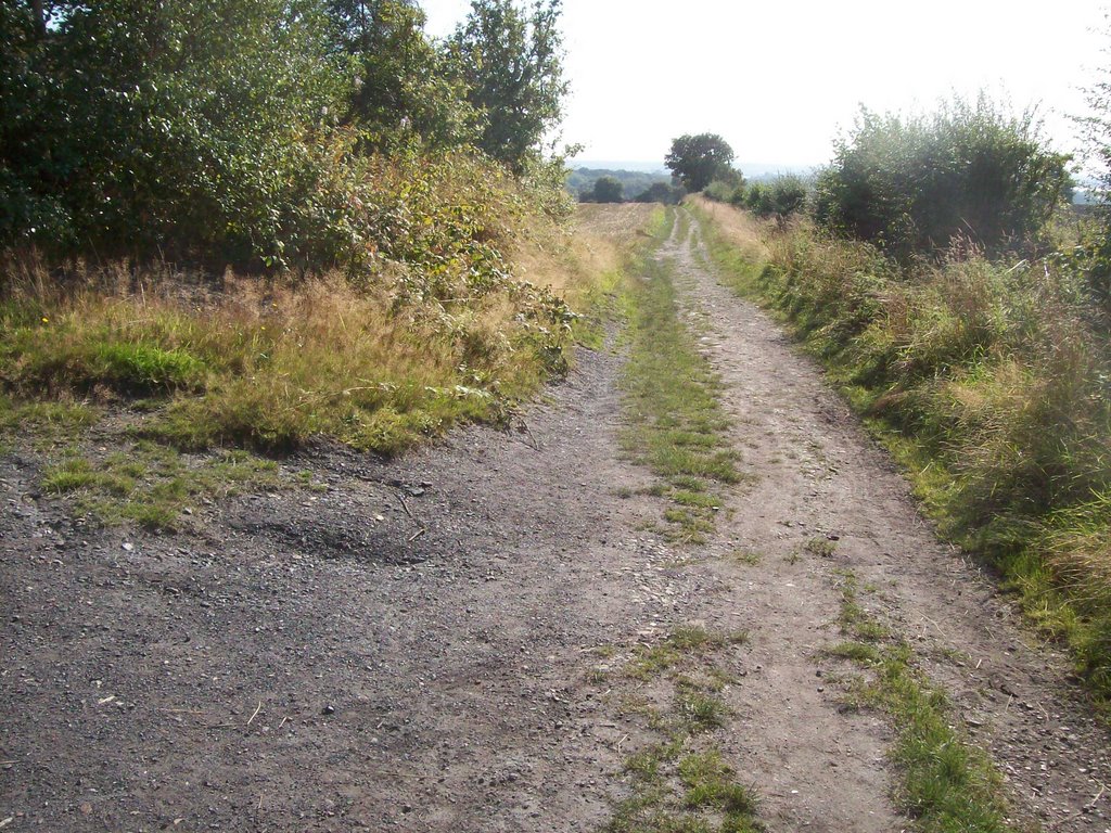 Footpath by Keith Bentham