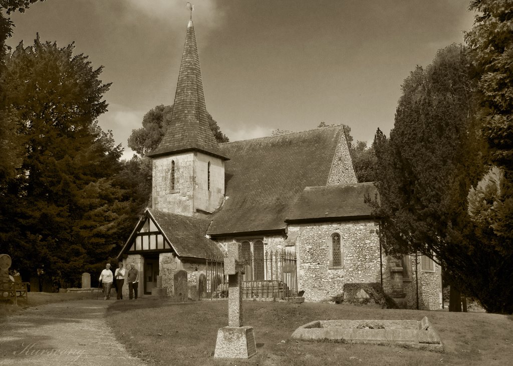 Chaldon Church by Carl31