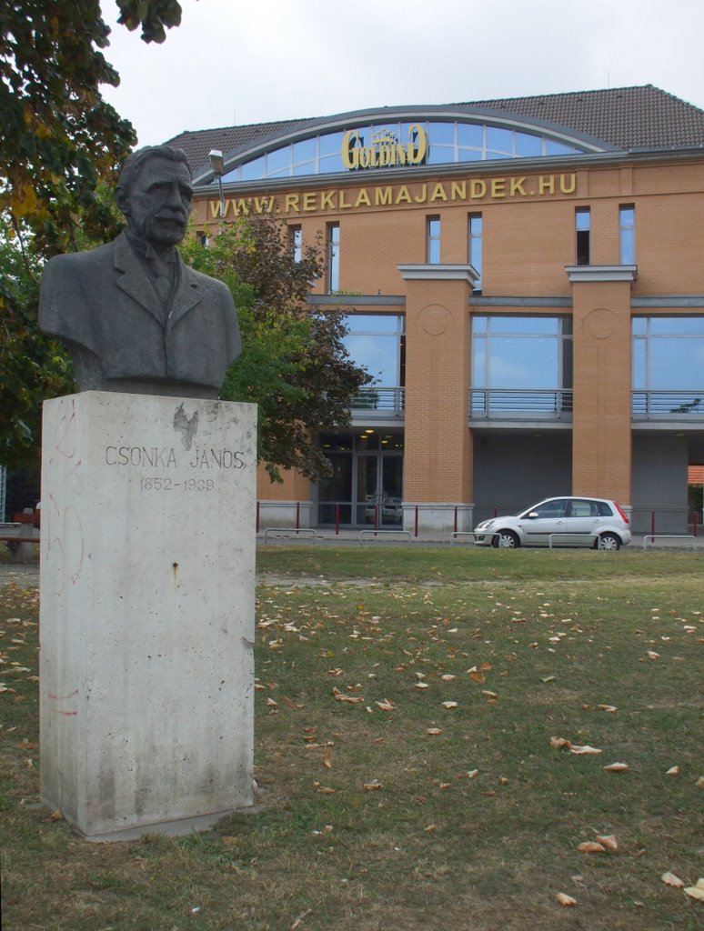 200909251400 Csonka János szobra a Fehérvári úton (Statue of John Csonka, owner of factory) by Kornél2009