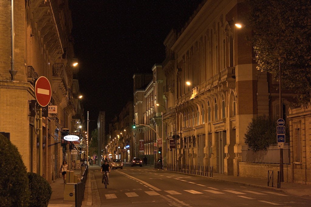 Toulouse, rue d'Alsace-Lorraine, la Chambre de Commerce by JLMEVEL