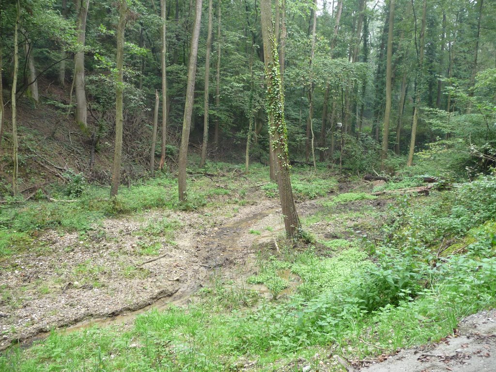 Kleiner Bach bei Pixendorf (Großer Tullnerfeld Rundwanderweg) by gt123456