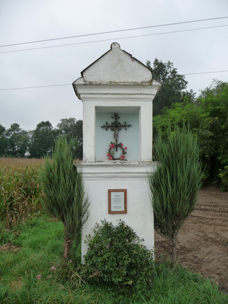 Das Weisse Kreuz oder Sandkreuz (Großer Tullnerfeld Rundwanderweg) by gt123456