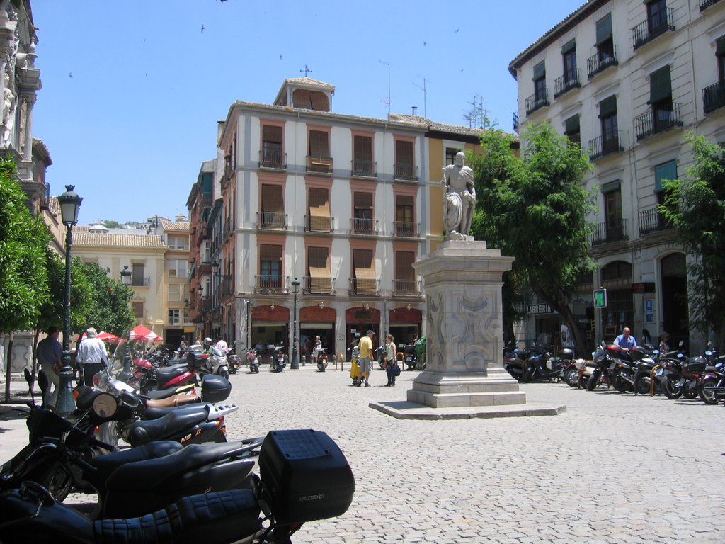 Plaza de la Universidad by Quino Cascorro