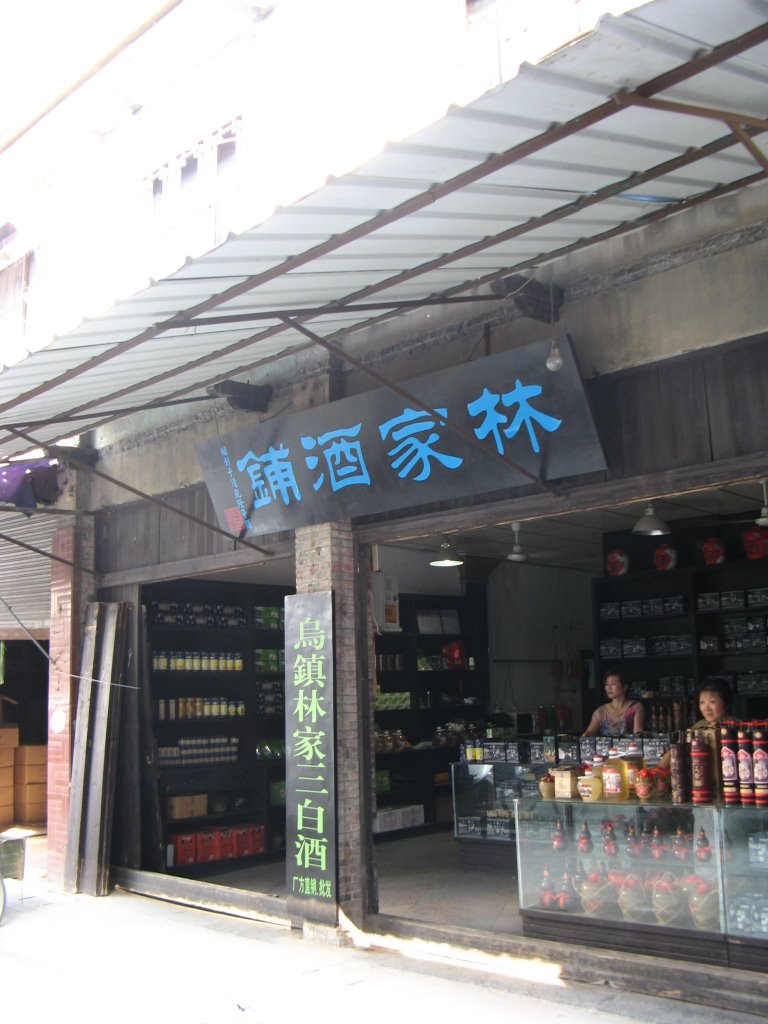 林家酒铺 Lin's Liquor Store by nemosea