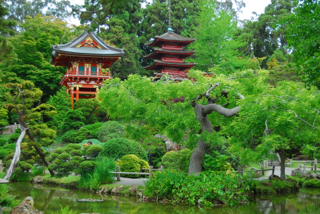 Japanese Garden Golden Gate Park by Kevin Blair