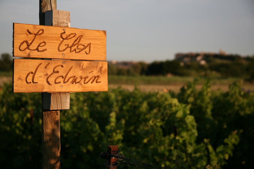 Le Clos Boisé, Théziers, Gard, Languedoc-Roussillon, France by Hans Sterkendries