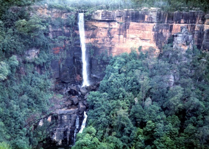 Fitzroy Falls by John C Pope and Davi…