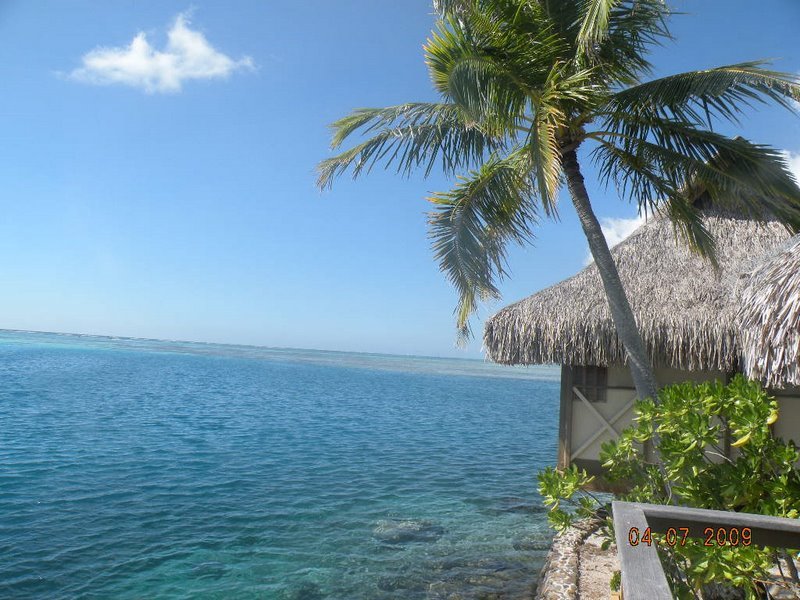 Bungalow Over-Water at Intercontinetal Resort & SPA Moorea by Tania Maria Bohana