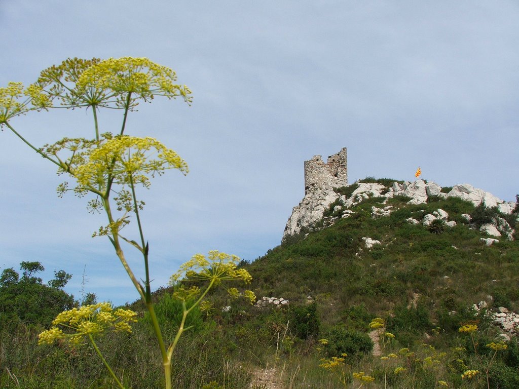 Torre del Petrol (puigcabrer) (md) by marc6703