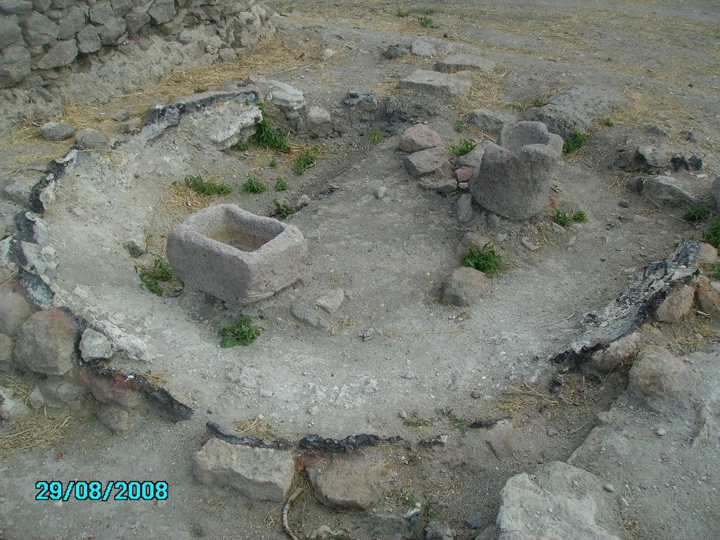 Gülpınar  (Yetüt) by Mehmet Yetüt