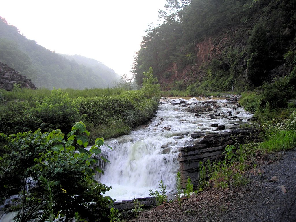 Misty Valley - Steel Park Falls by Jerry Frank