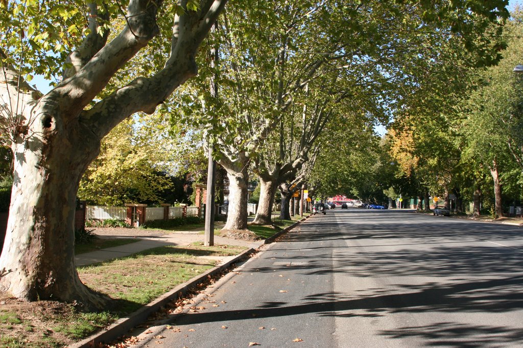 Gurwood street Wagga Wagga by strasser©paul