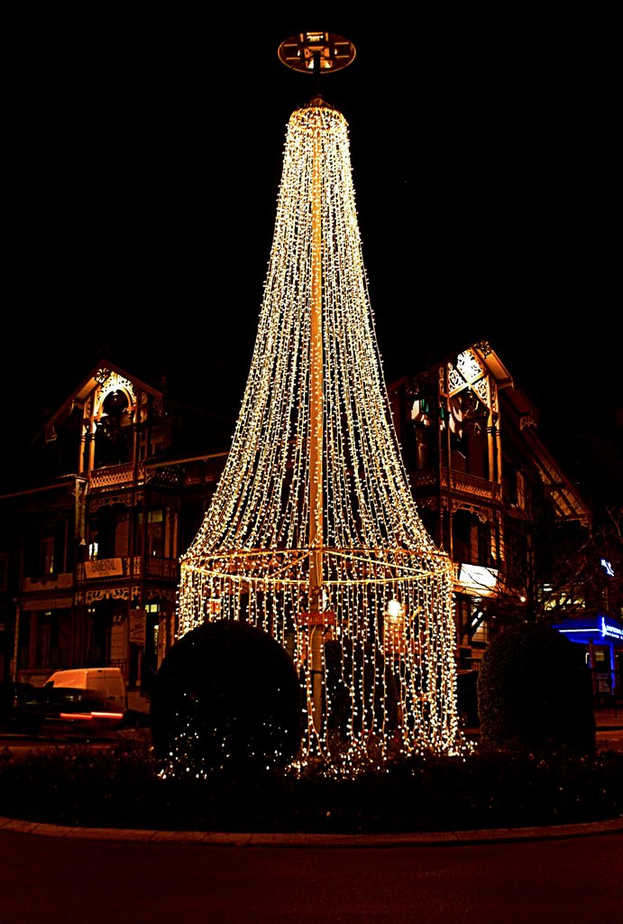 Wunderbaum am Berntorplatz by ©ssi