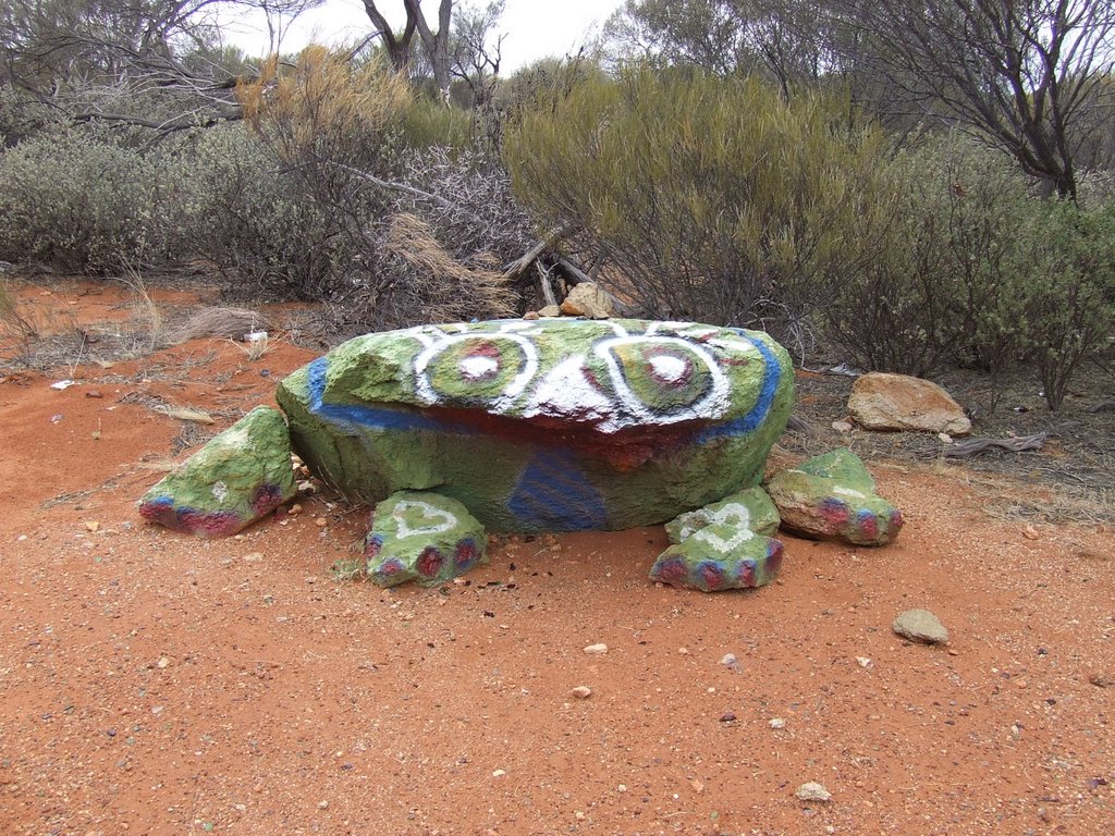 Rock Frog between Leonora and Menzies by ajwhitton